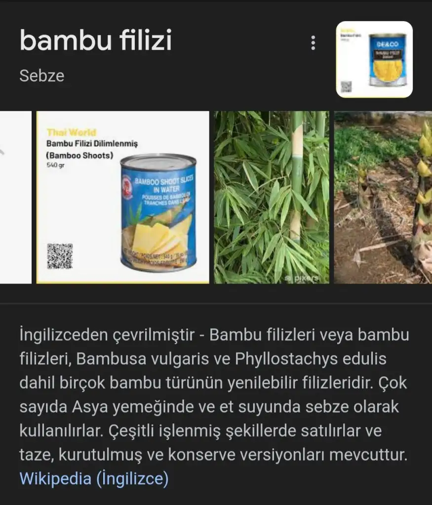 Screenshot_20231204_231558_Chrome.webp