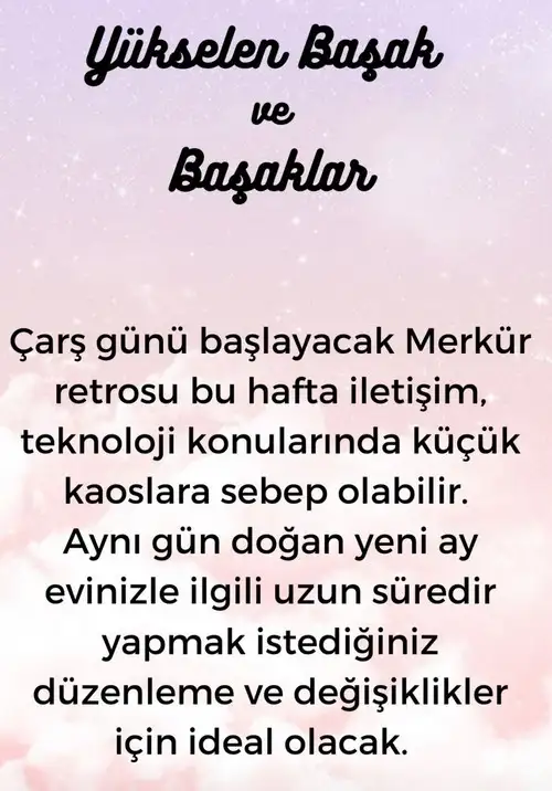 Screenshot_20231209-173659_Instagram.webp