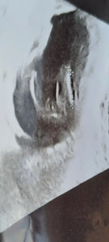 Screenshot_20231209_160243_Gallery.webp