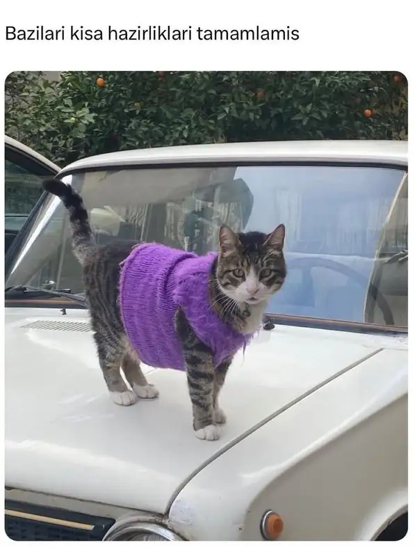 Screenshot_20231219-104819_Instagram.webp