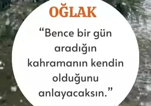 Screenshot_20231229-195333_Instagram.webp