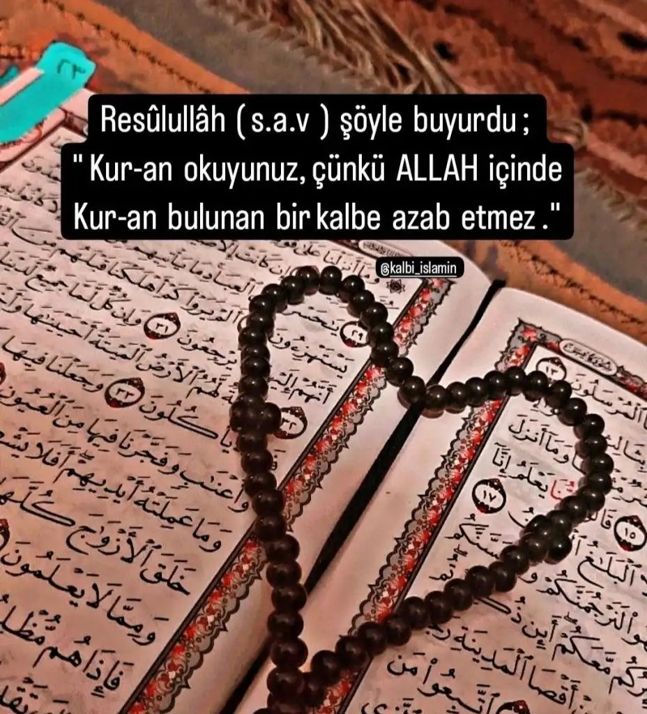 Screenshot_20231231-203135_Instagram.webp