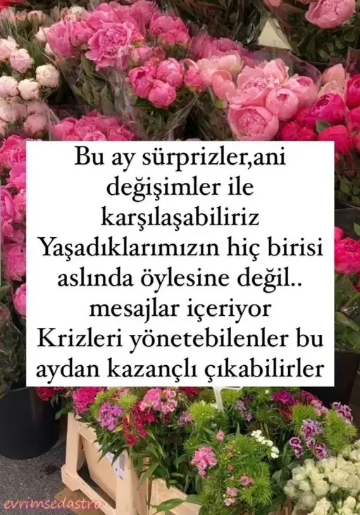 Screenshot_20240110-191631_Instagram.webp