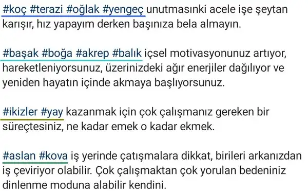 Screenshot_20240110-231558_Instagram.webp