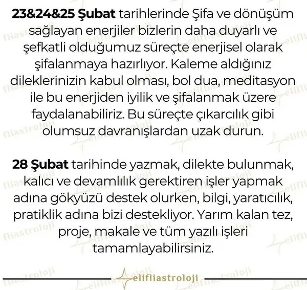 Screenshot_20240202-121145_Instagram.webp