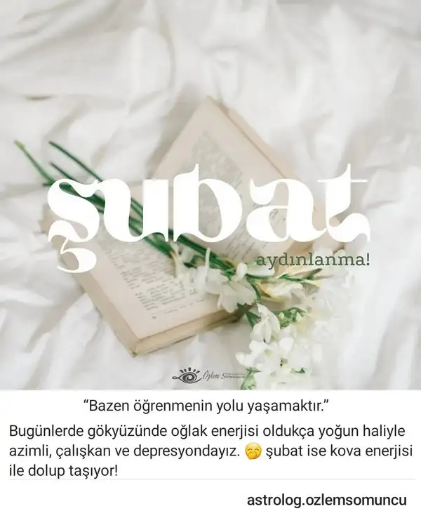 Screenshot_20240202-194522_Instagram.webp