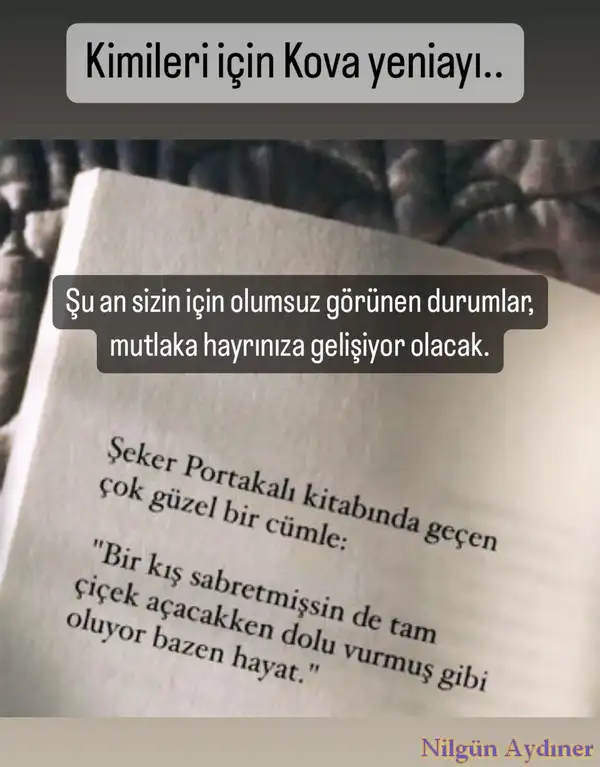Screenshot_20240208-125401_Instagram.webp