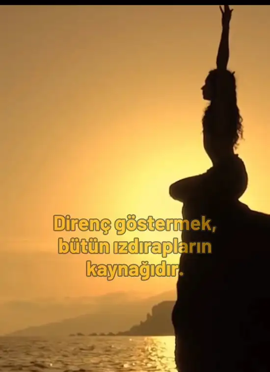 Screenshot_20240209-114400_Instagram.webp