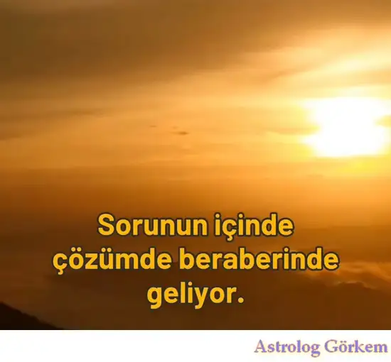 Screenshot_20240209-114413_Instagram.webp