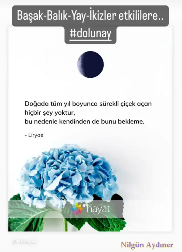 Screenshot_20240219-135612_Instagram.webp