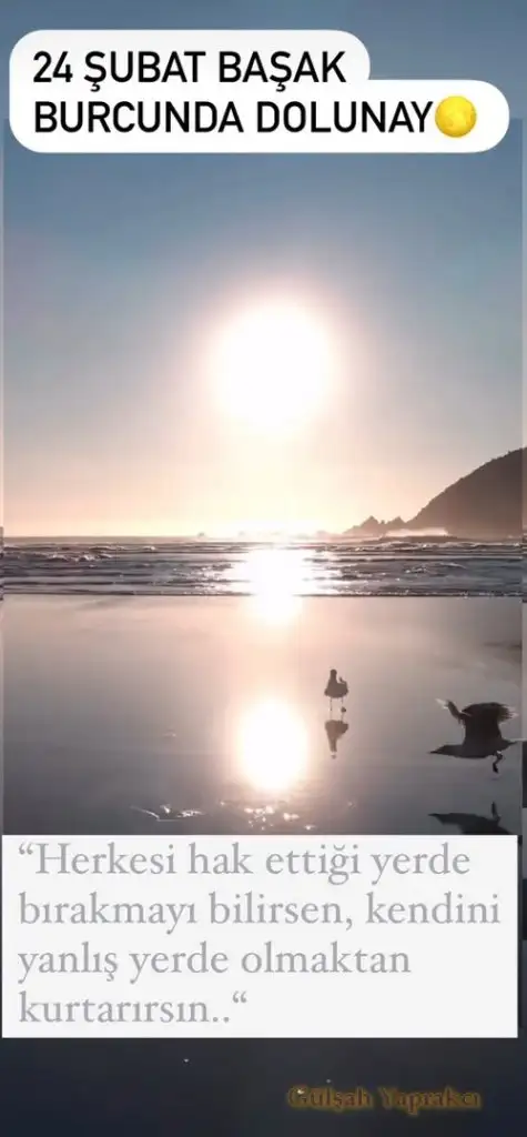 Screenshot_20240223-191932_Instagram.webp