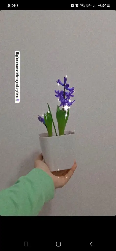 Screenshot_20240311_064038_Instagram.webp