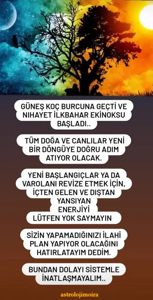Screenshot_20240320-110443_Instagram.webp