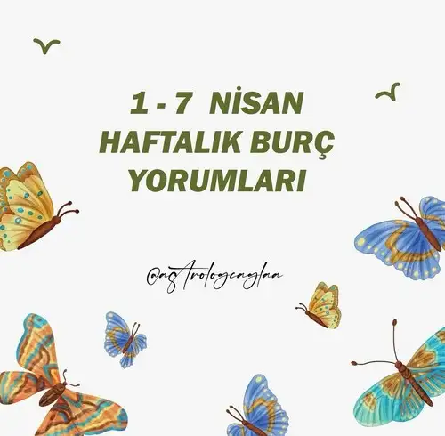 Screenshot_20240331-152315_Instagram.webp