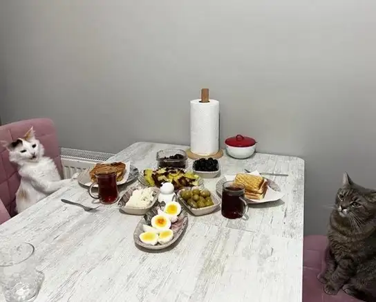 Screenshot_20240402-194913_Instagram.webp