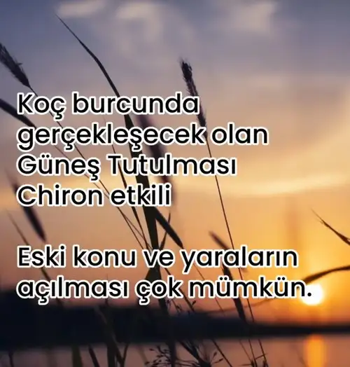 Screenshot_20240403-110453_Instagram.webp