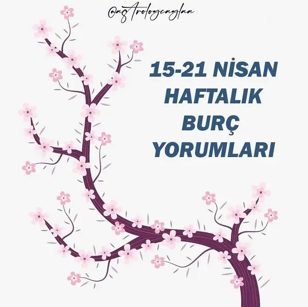 Screenshot_20240414-125216_Instagram.webp