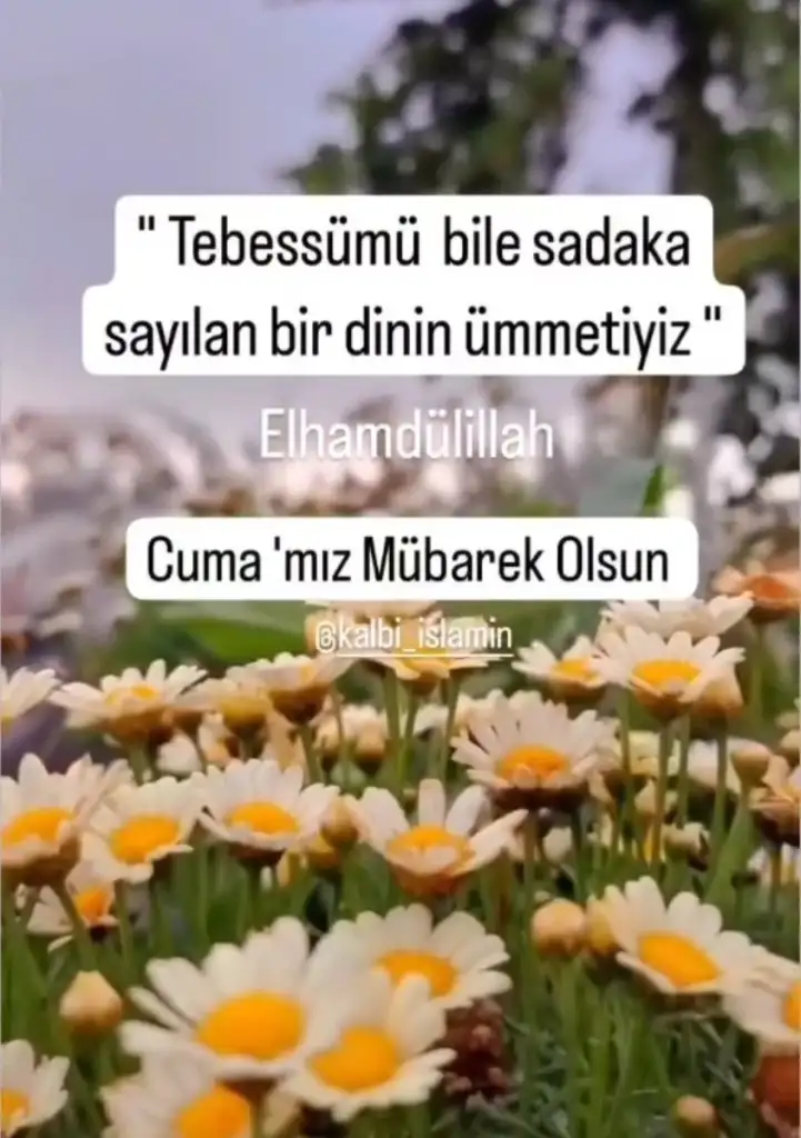 Screenshot_20240419-082318_Instagram.webp