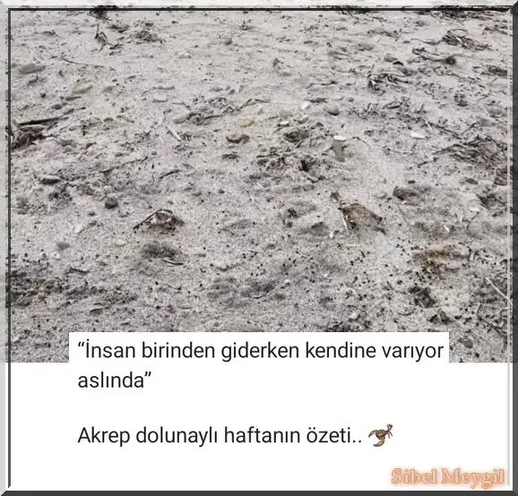Screenshot_20240422-180714_Instagram.webp