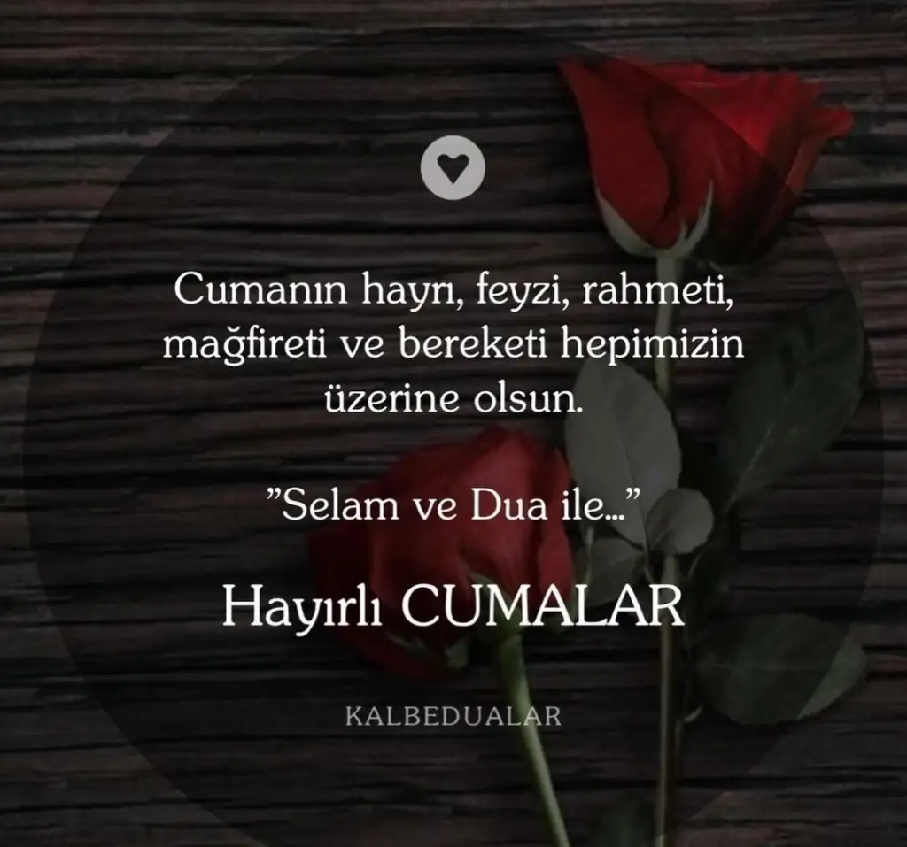 Screenshot_20240510-091428_Instagram.webp