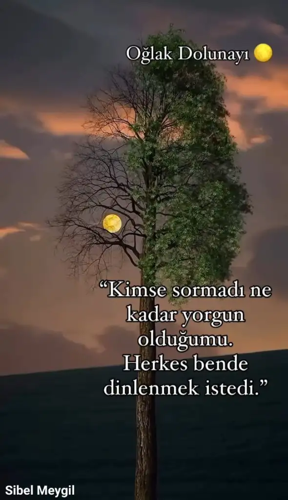 Screenshot_20240613-210107_Instagram.webp