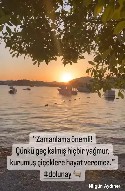 Screenshot_20240618-000634_Instagram.webp