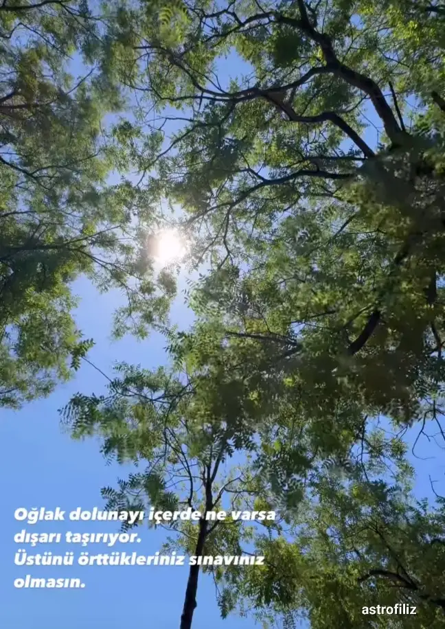 Screenshot_20240619-232909_Instagram.webp