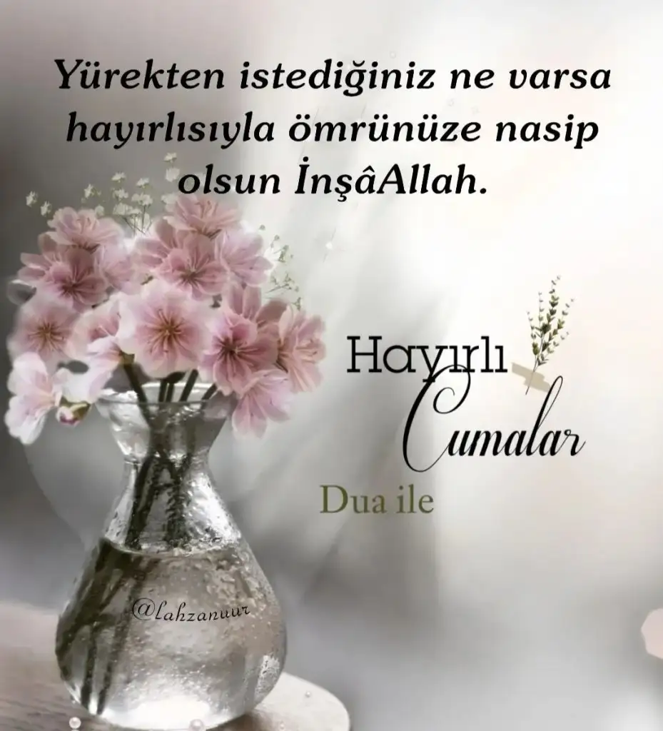 Screenshot_20240621-085559_Instagram.webp