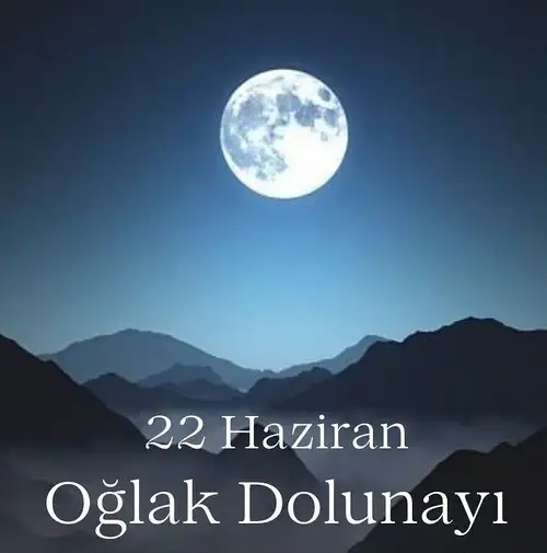 Screenshot_20240624-124304_Instagram.webp