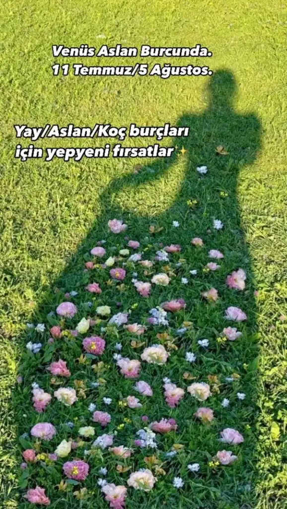 Screenshot_20240711-221355_Instagram.webp