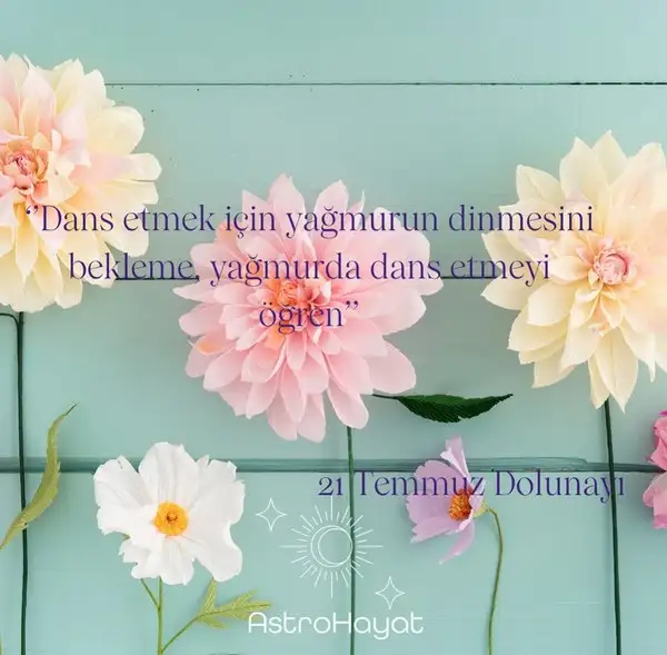 Screenshot_20240715-190206_Instagram.webp