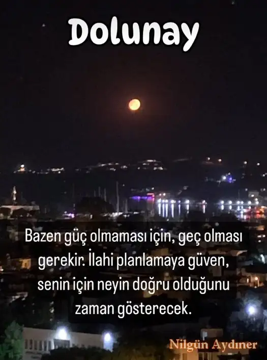 Screenshot_20240717-113023_Instagram.webp