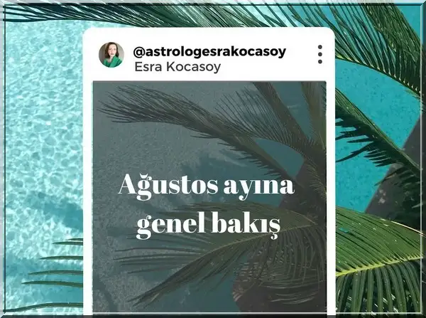 Screenshot_20240728-160558_Instagram.webp