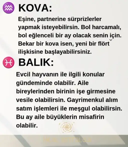 Screenshot_20240730-195258_Instagram.webp
