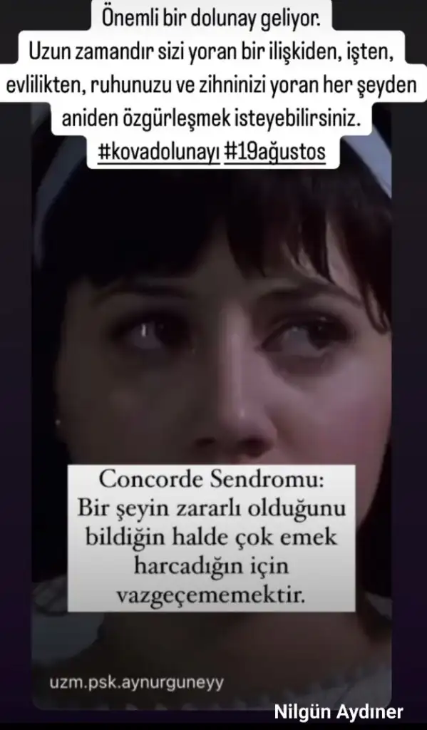 Screenshot_20240811-085201_Instagram.webp