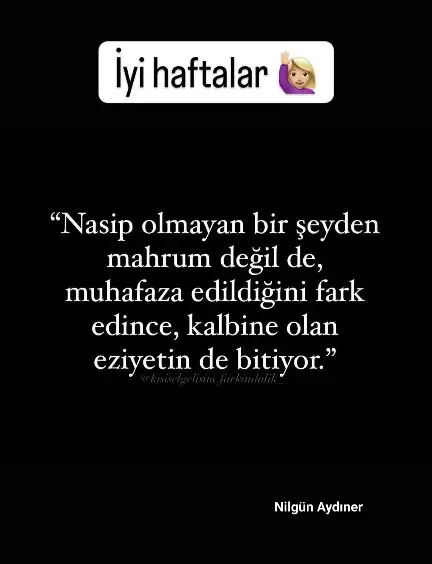 Screenshot_20240812-112141_Instagram.webp
