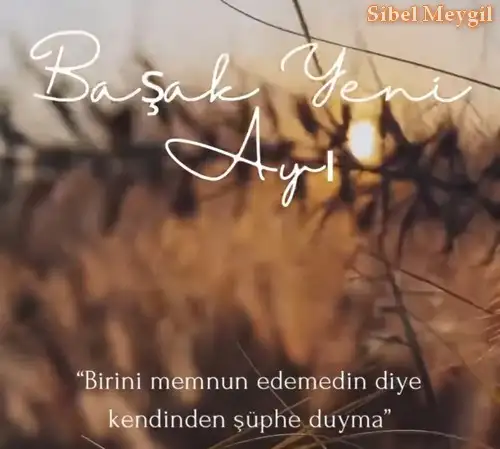 Screenshot_20240903-002552_Instagram.webp