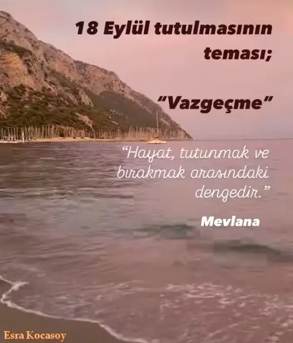 Screenshot_20240911-140305_Instagram.webp