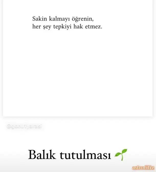 Screenshot_20240912-204257_Instagram.webp