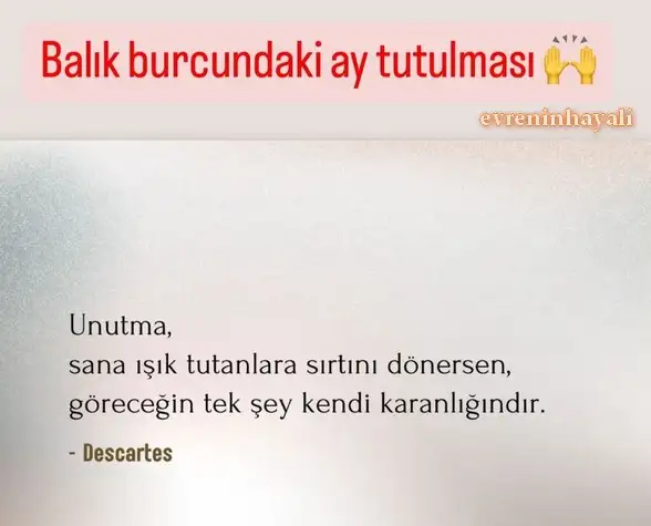 Screenshot_20240912-211224_Instagram.webp