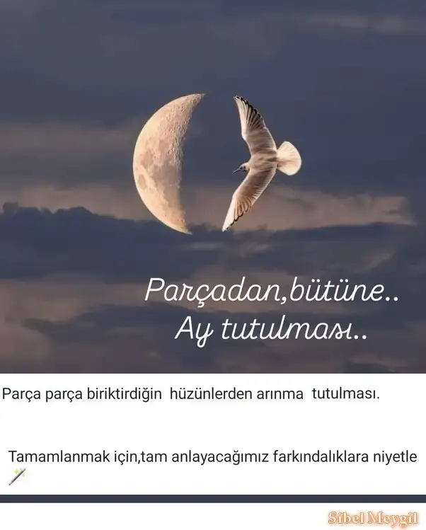 Screenshot_20240915-181926_Instagram.webp