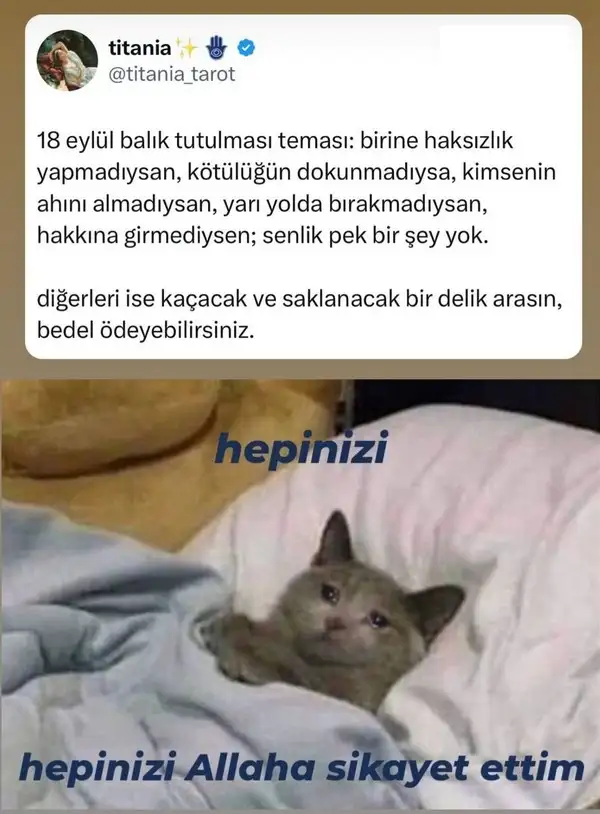 Screenshot_20240917-203527_Instagram.webp