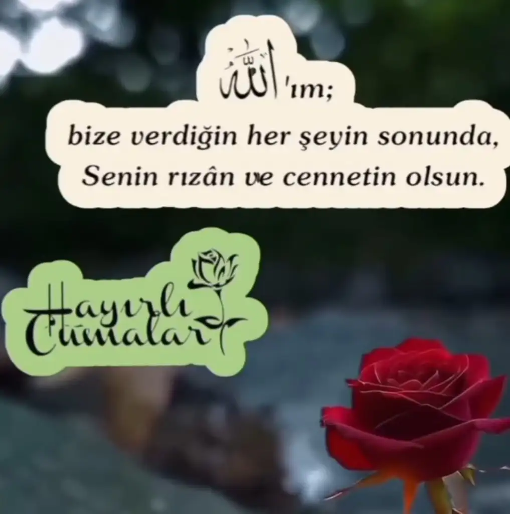 Screenshot_20240920-070129_Instagram.webp