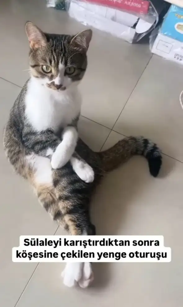 Screenshot_20240928-162530_Instagram.webp