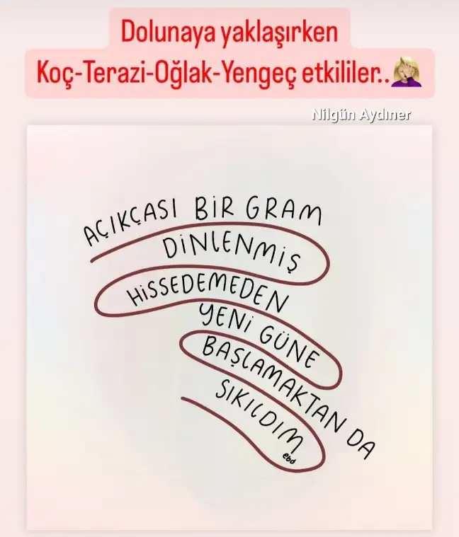 Screenshot_20241012-132431_Instagram.webp