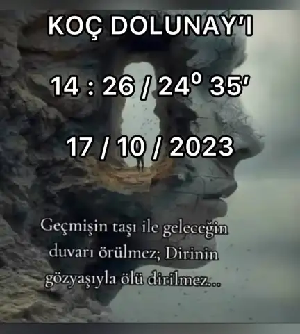 Screenshot_20241013-141846_Instagram.webp