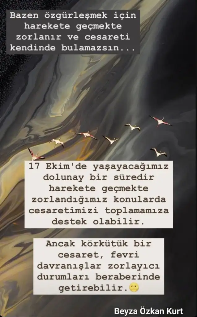 Screenshot_20241015-210822_Instagram.webp