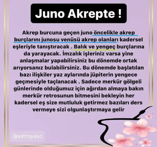 Screenshot_20241021-220822_Instagram.webp