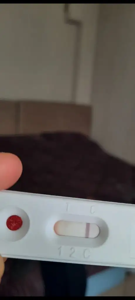 Screenshot_20241022_142555_Gallery.webp