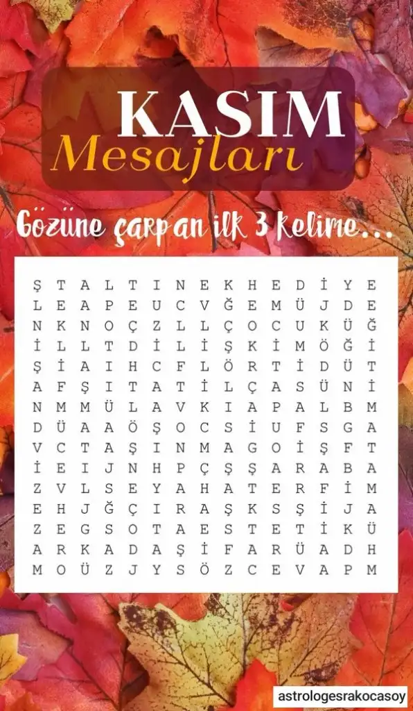 Screenshot_20241026-192609_Instagram.webp